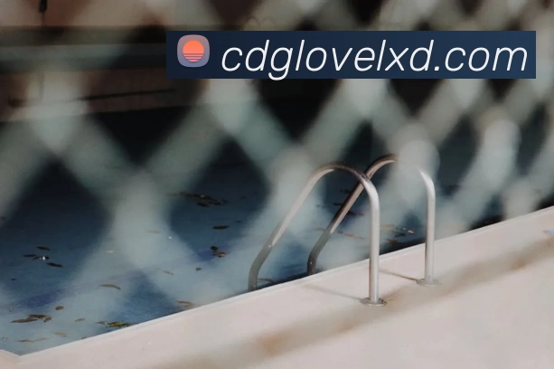 米兰体育网页版登录界面官方网站 - 登录入口APP 高清赛事图